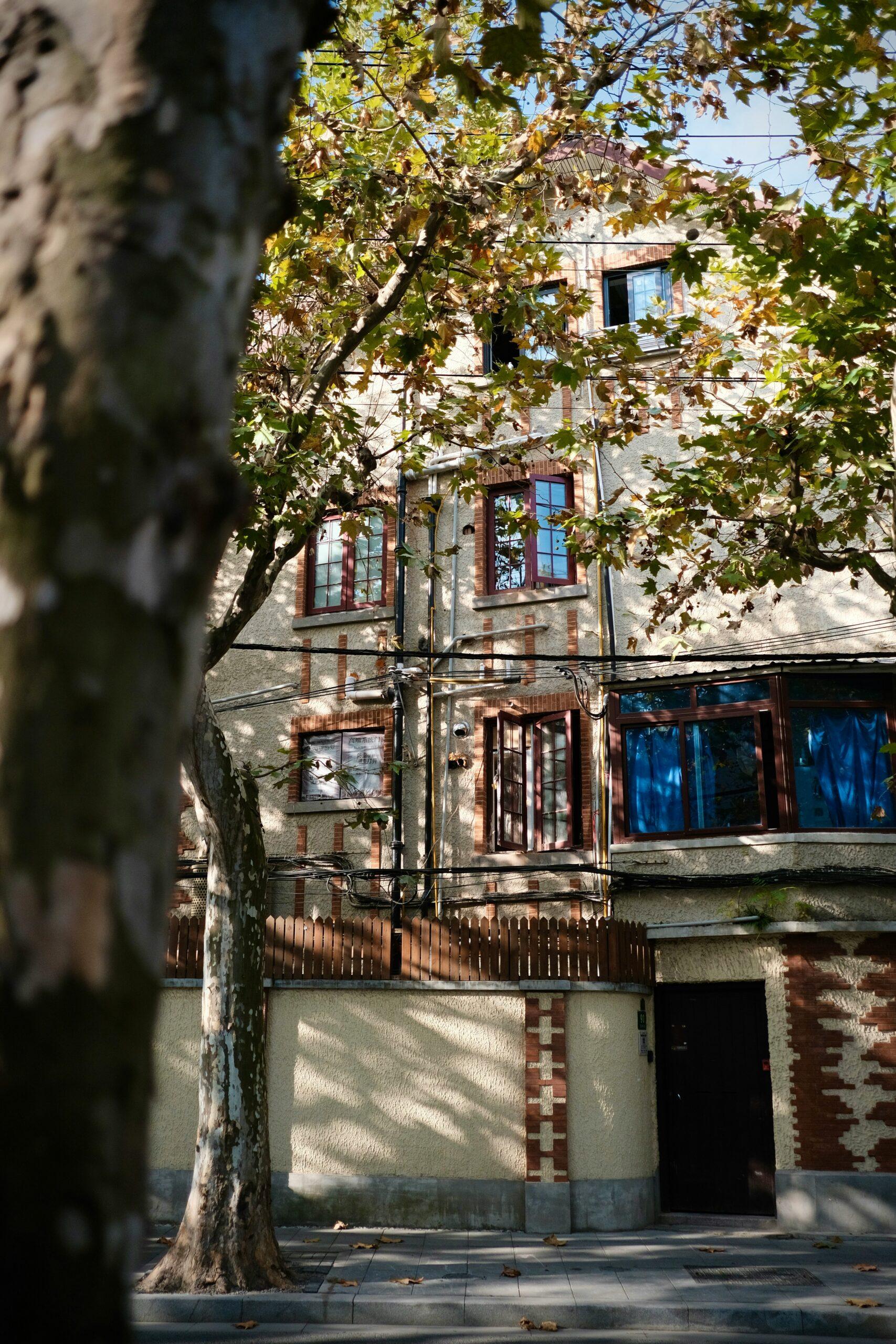 A building with a tree in front of it