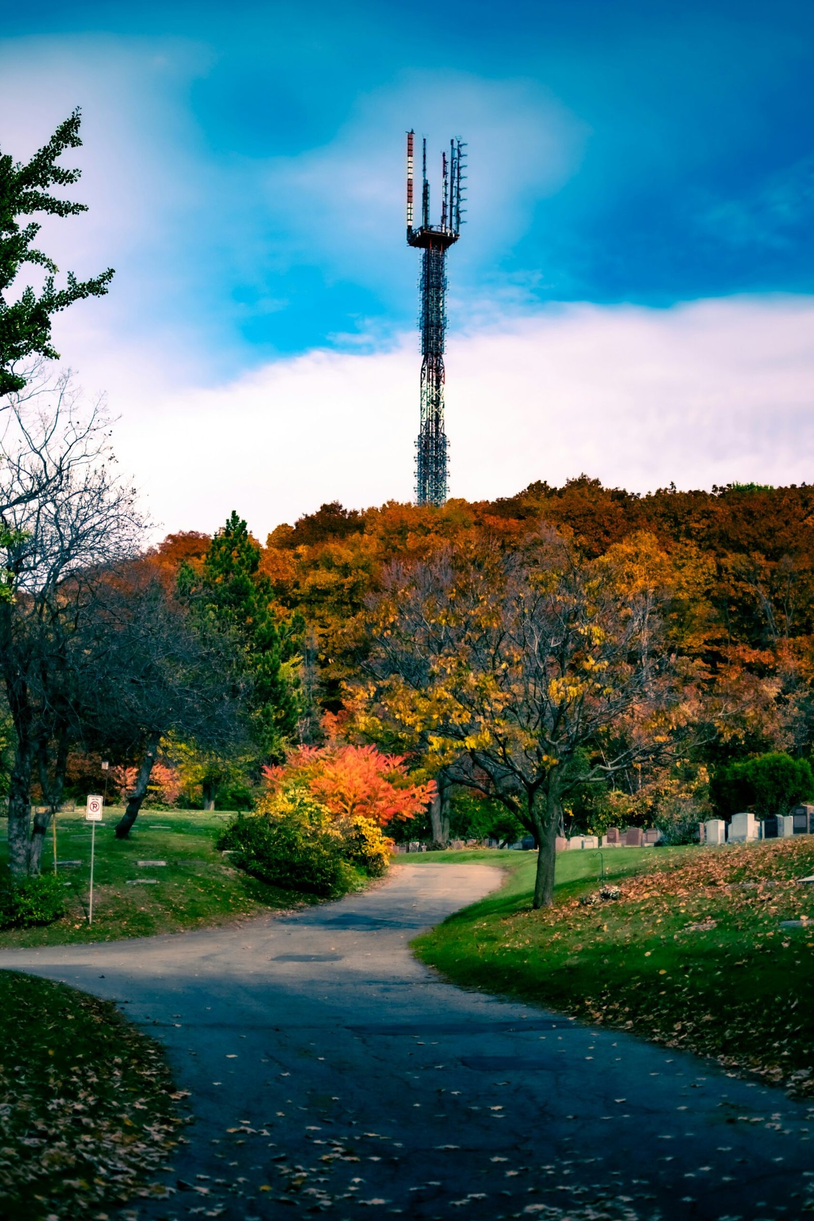 A road with a cell phone tower in the background