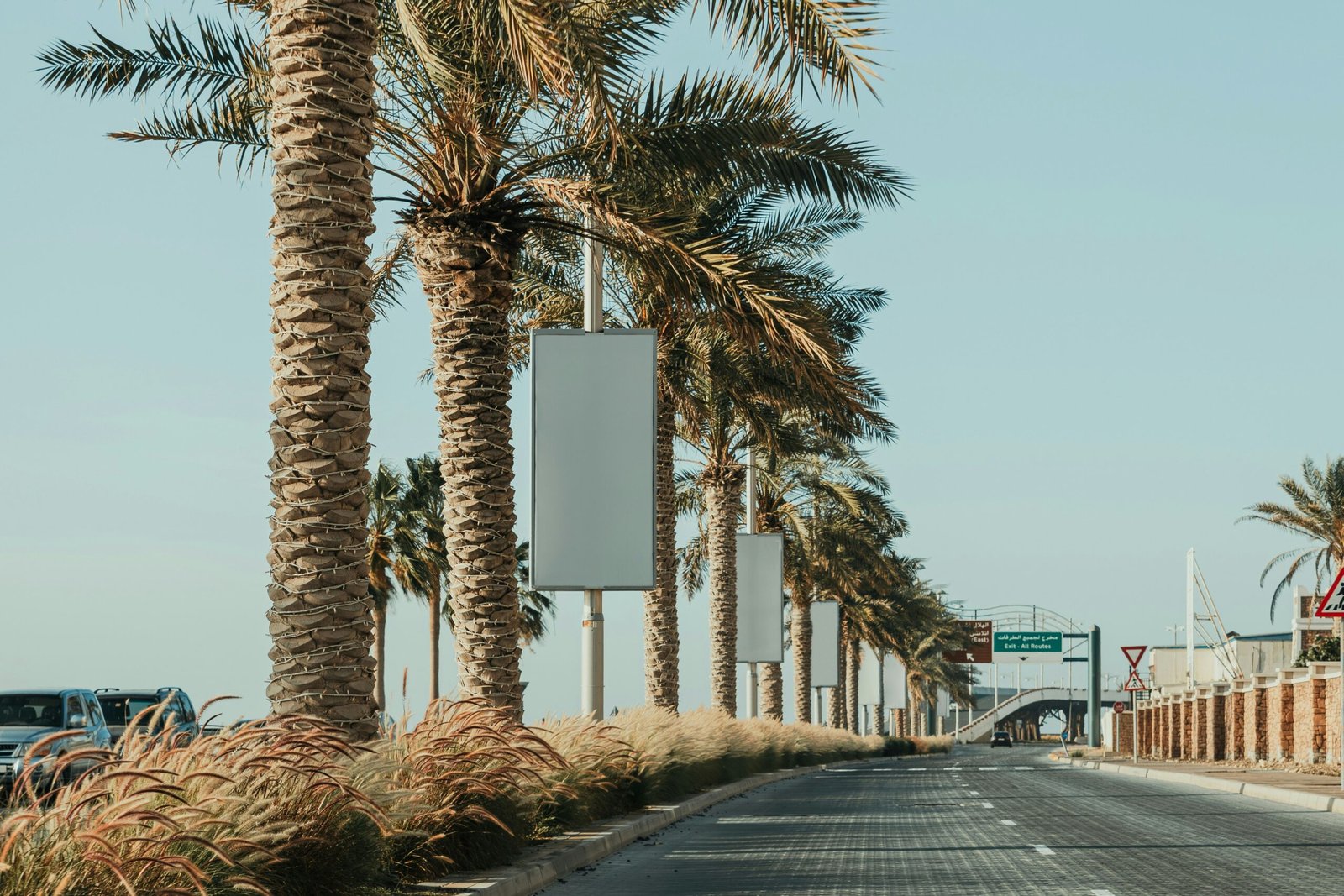 A street lined with palm trees next to a building