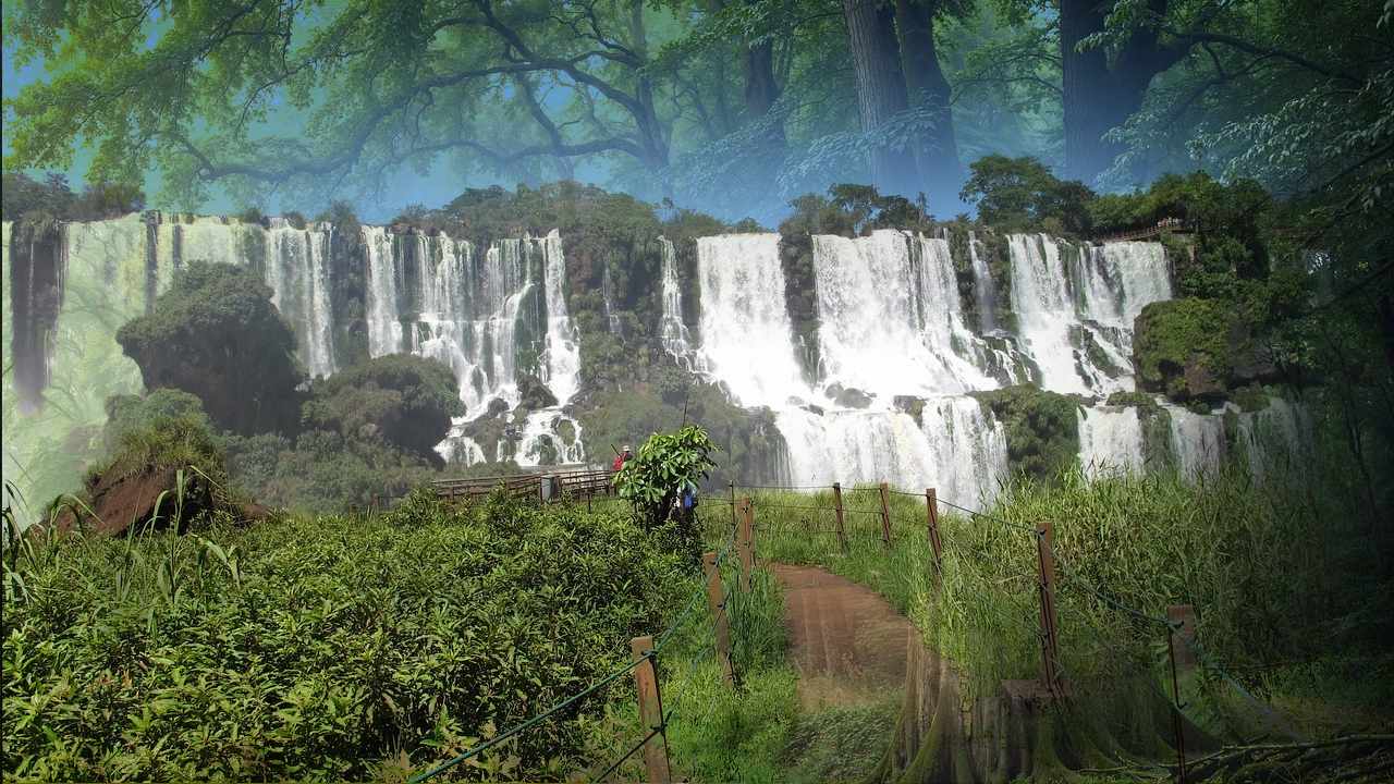 Contrato de Préstamo CAF ▷Misiones asegura fondos para preservar la Selva Misionera tras nuevo acuerdo