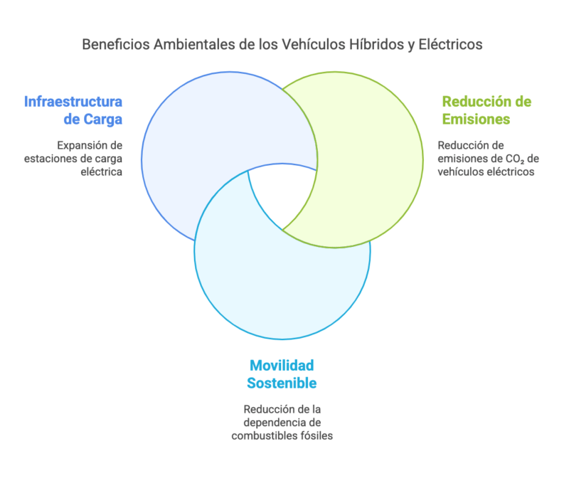 Decreto 49 2025 Importar Autos Electricos sin Impuestos hasta 2030 visual selection 20