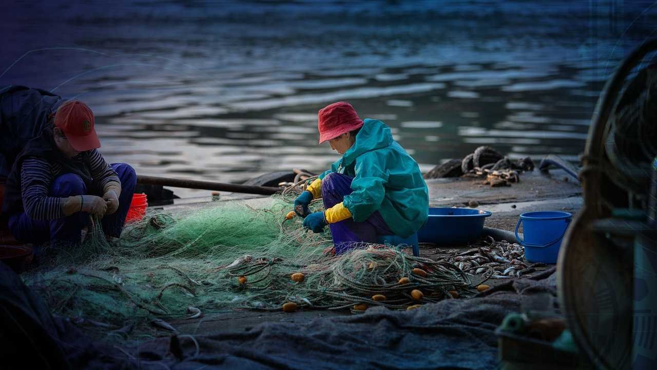 Illex argentinus Alerta: Resolución 8/2024 Protege Especie en Riesgo en la Zona Común de Pesca