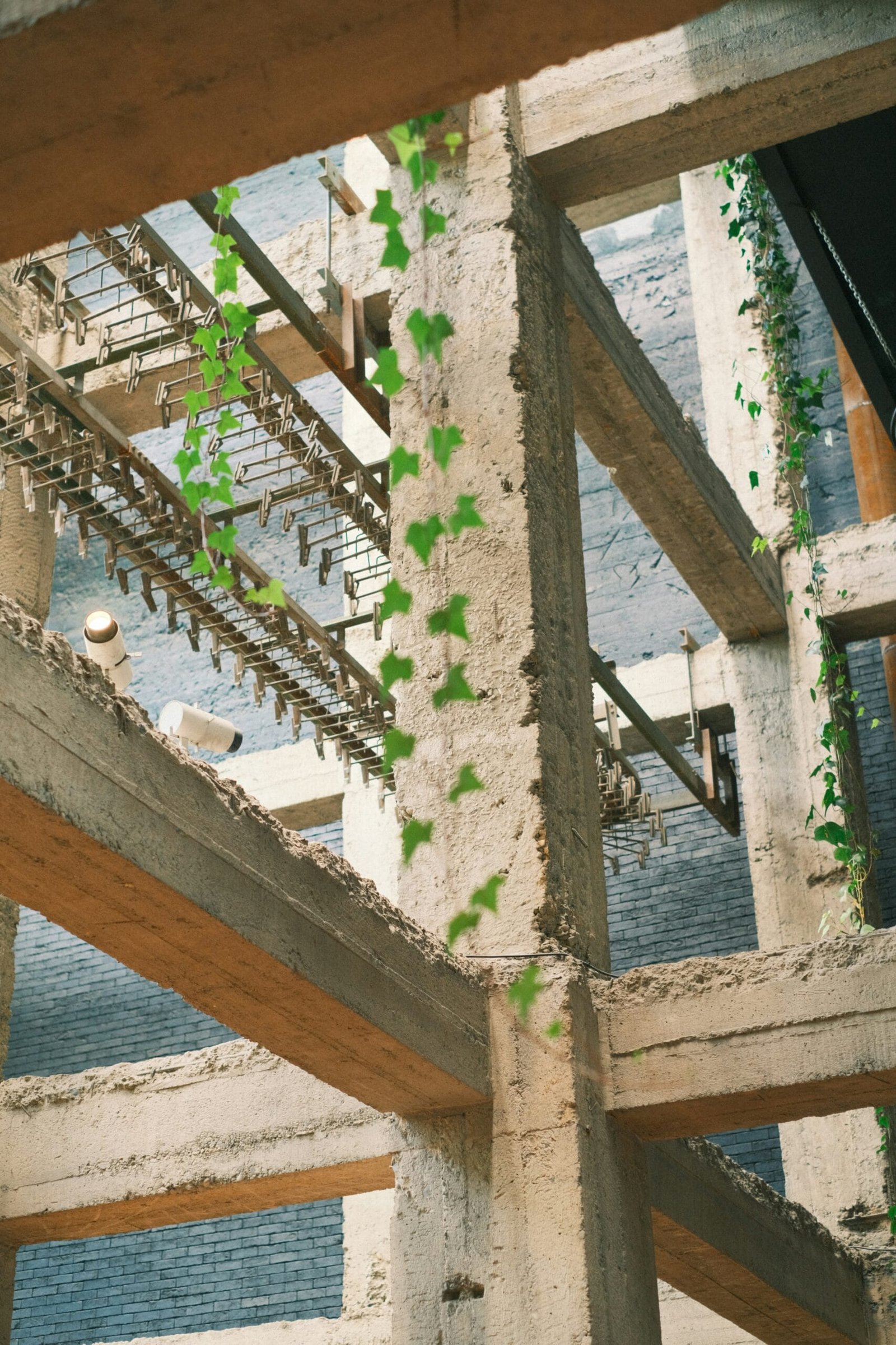 a building with vines growing on the side of it