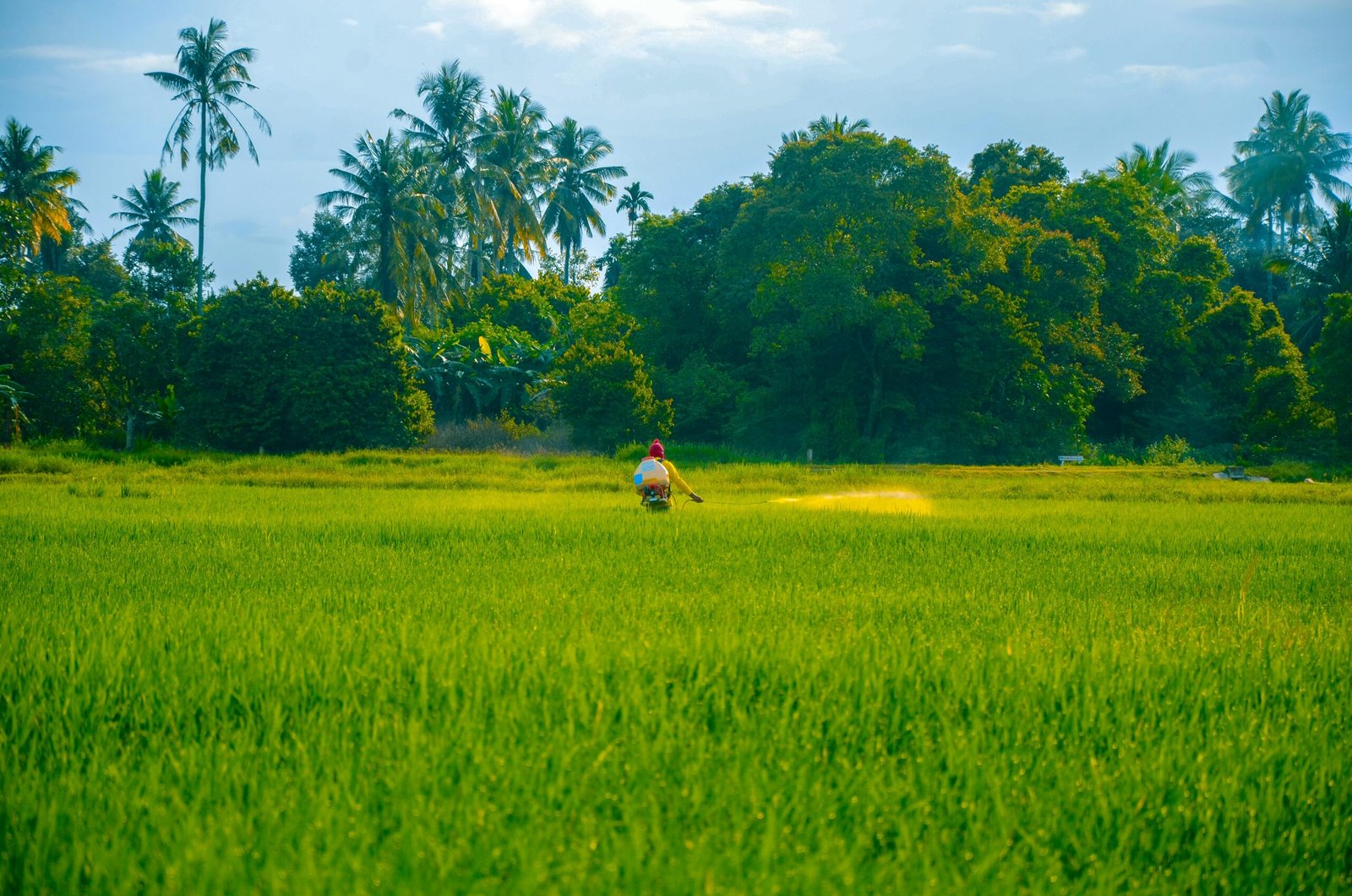 a person in a green field with trees in the background