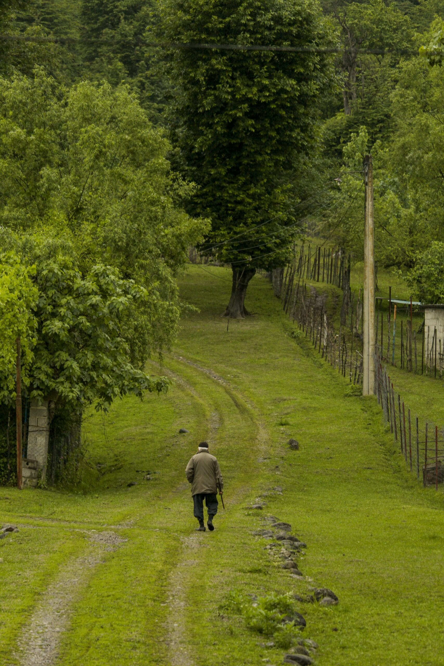 a person walking on a path in a park