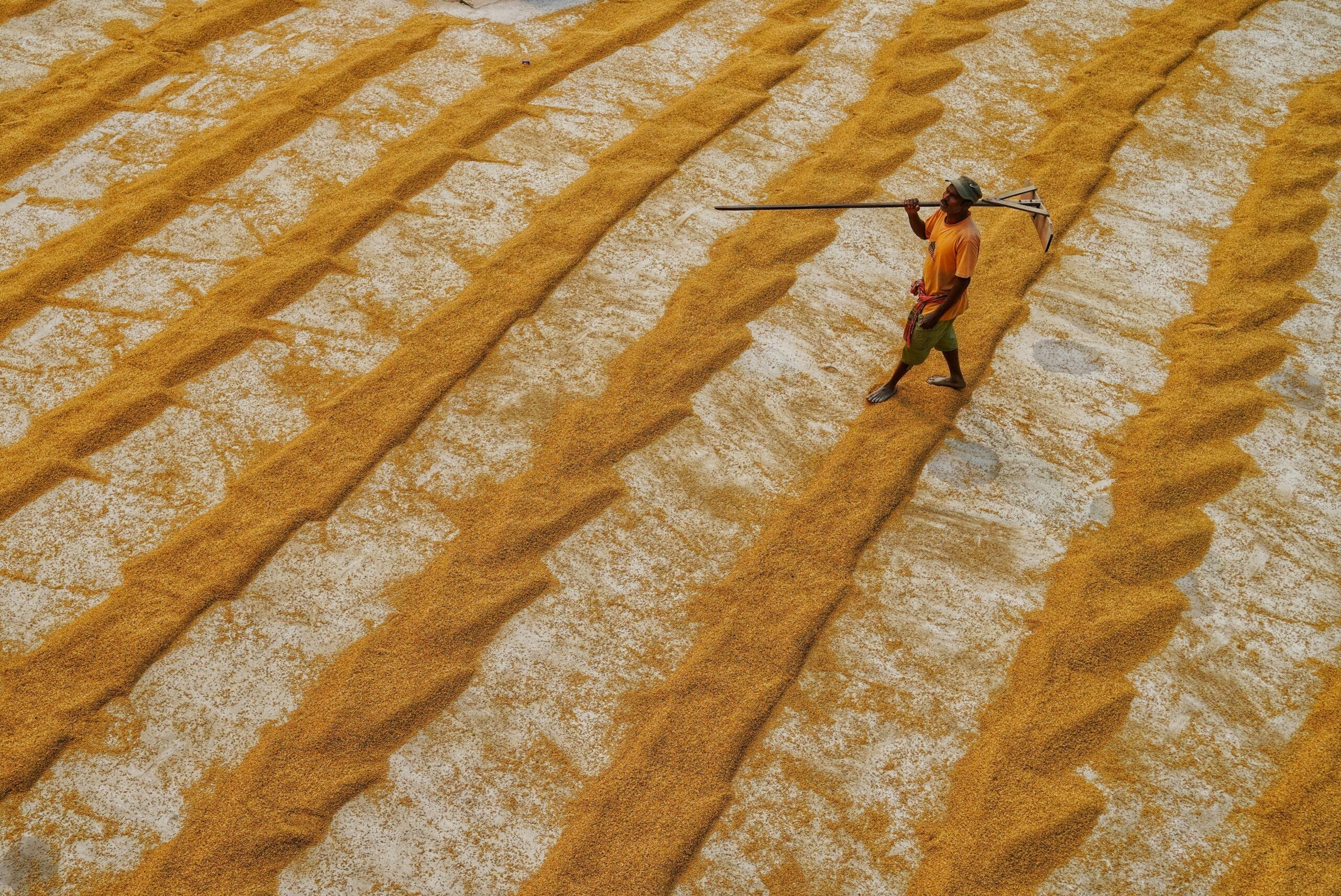 a person walking through a field