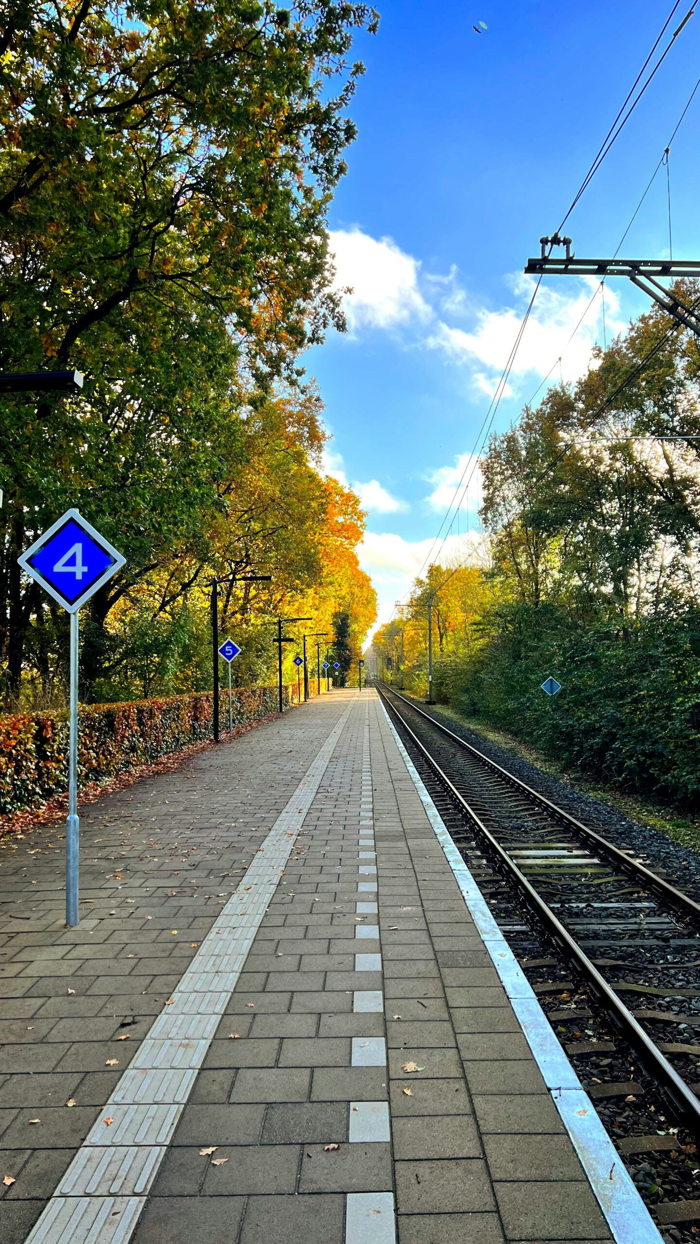 a train track with trees on the side