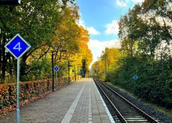 Análisis del Título VII: Disposiciones Complementarias y Transitorias del Nuevo Régimen de Transporte Automotor de Pasajeros