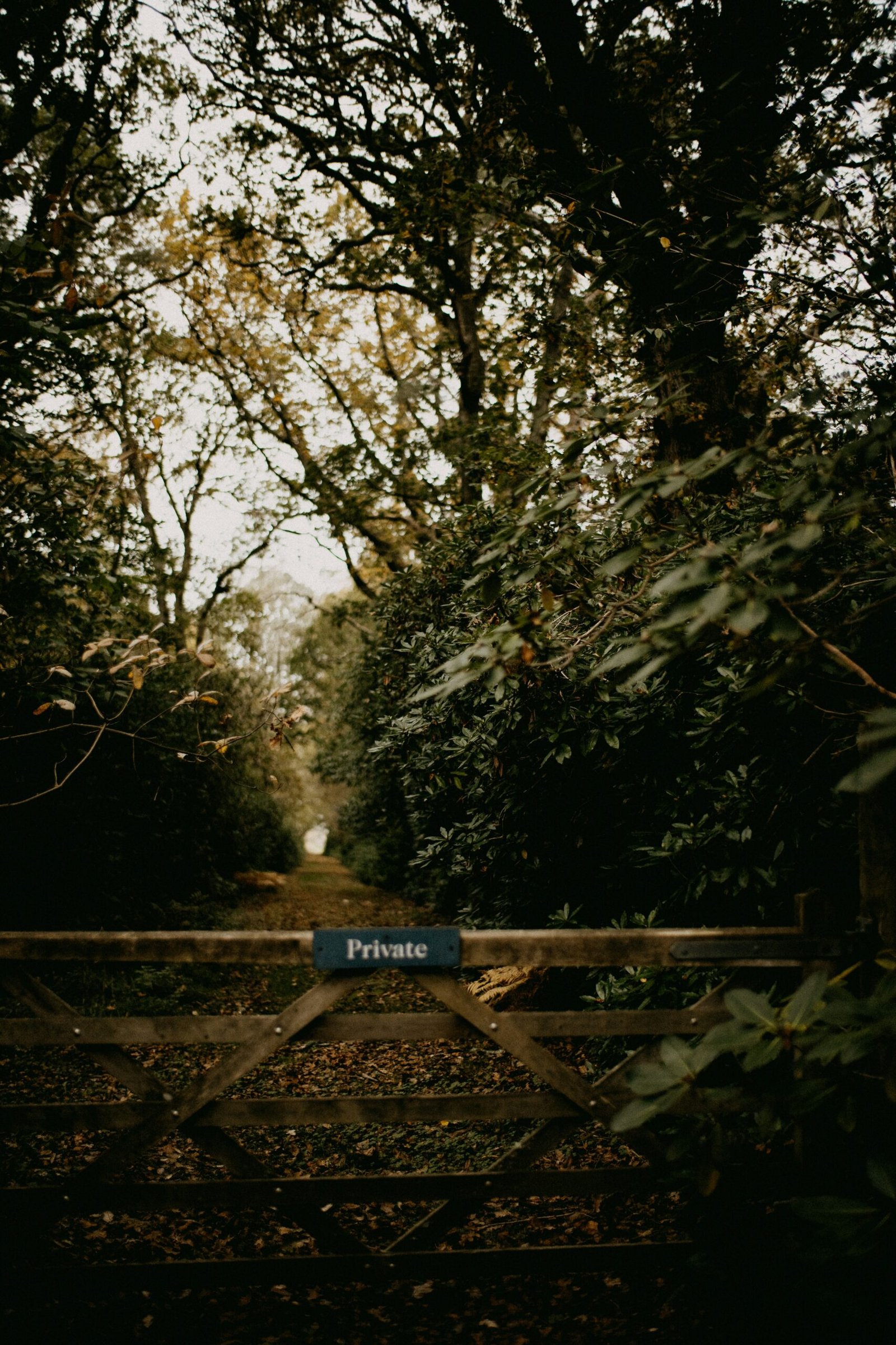 a wooden gate with a street sign on it