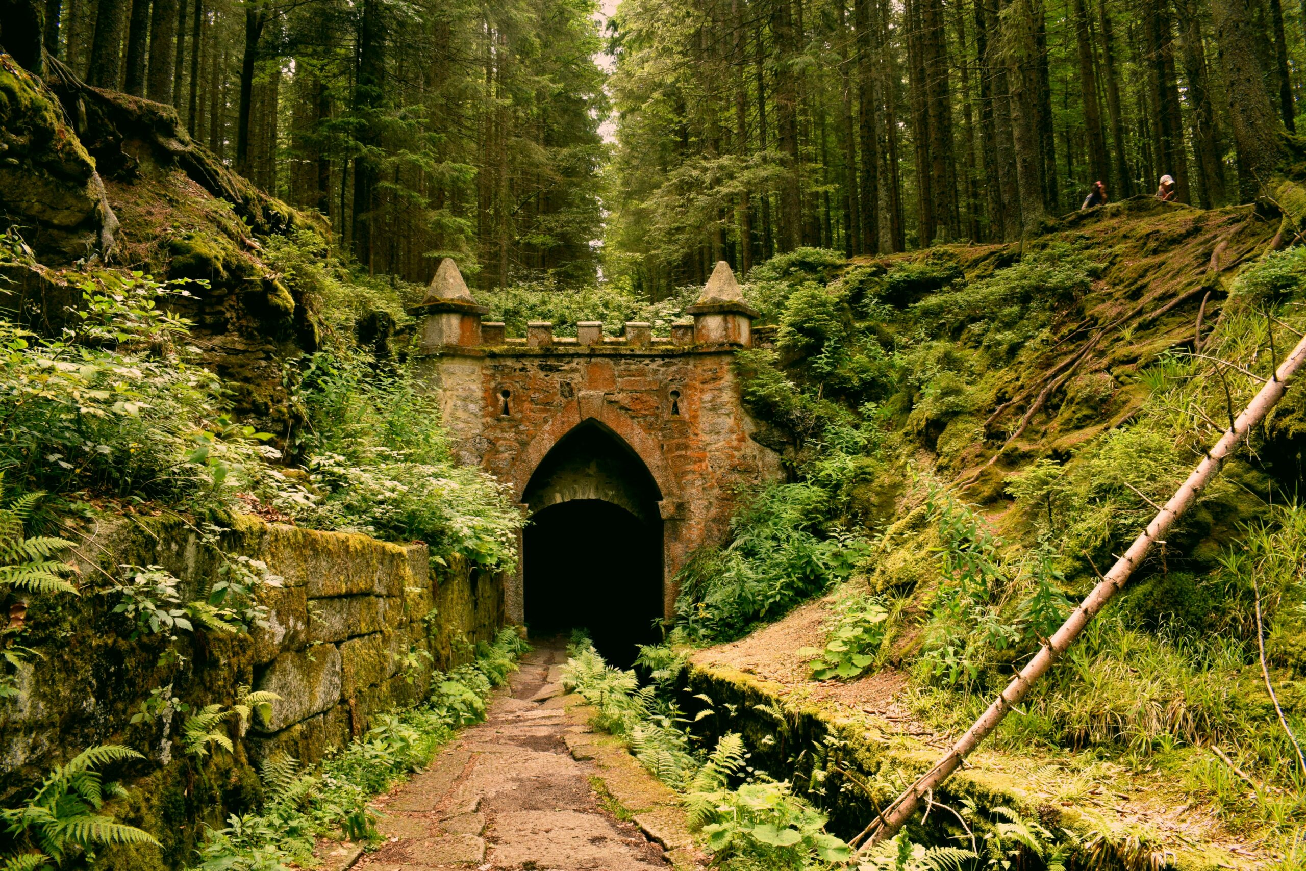 gray concrete tunnel under green trees