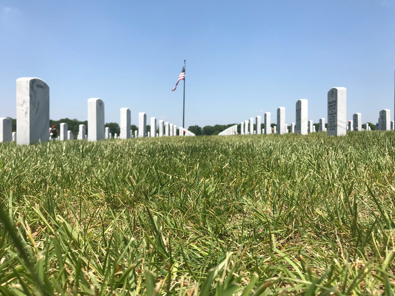 green grass field near city buildings during daytime