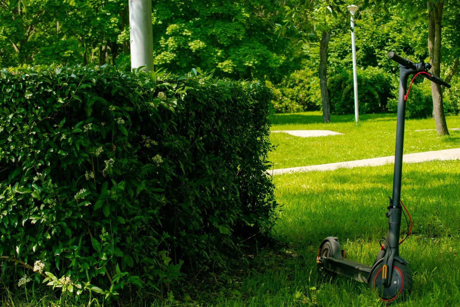 green grass field with green trees during daytime