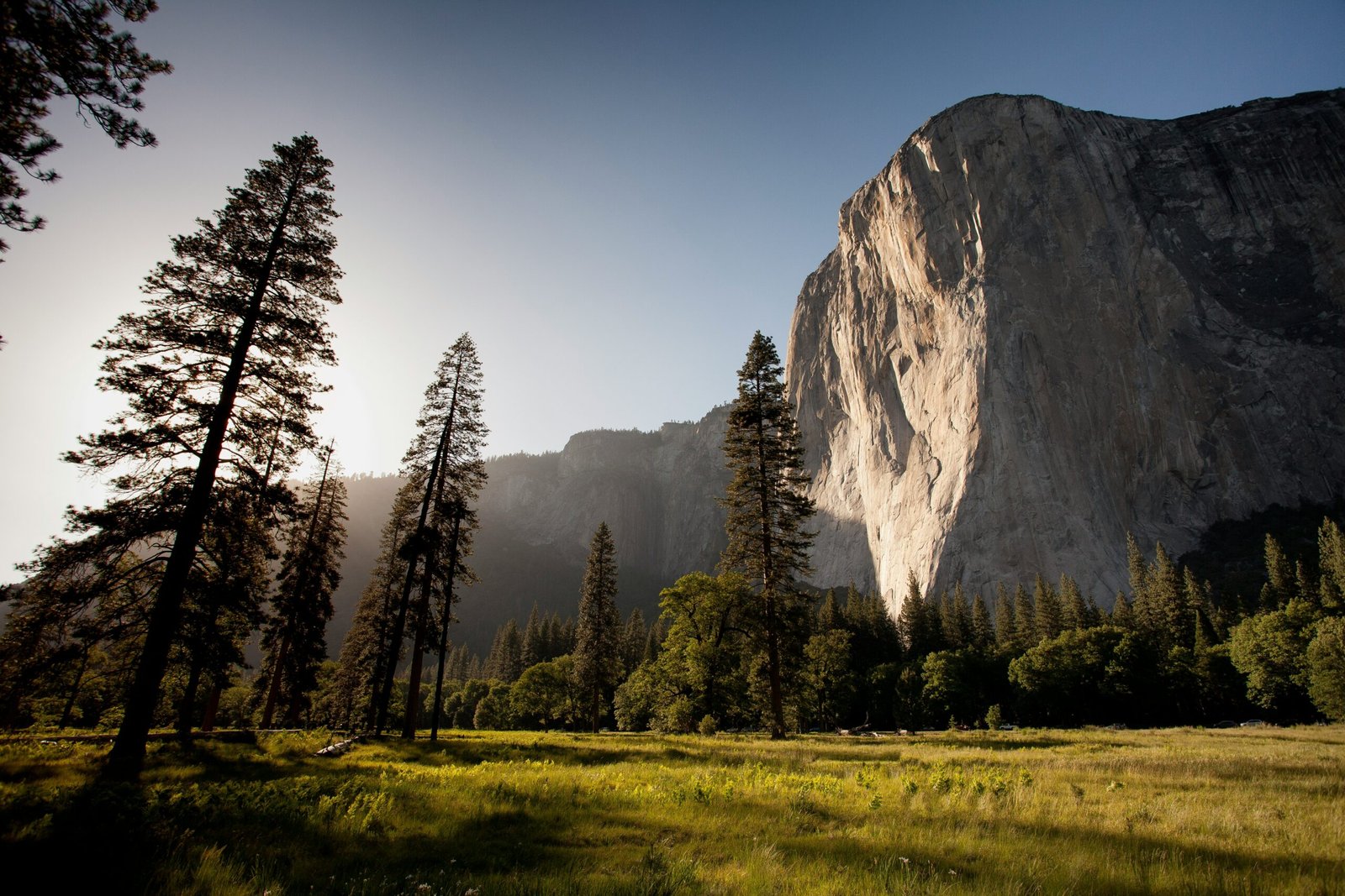 landmark photography of trees near rocky mountain under blue skies daytime