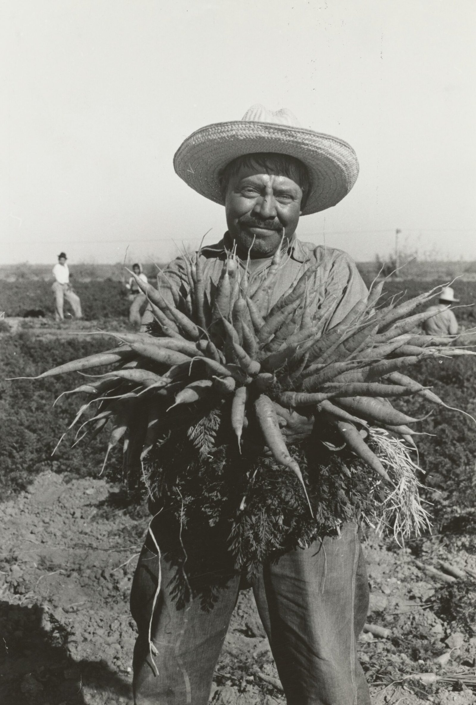 ,man holding rootcrop