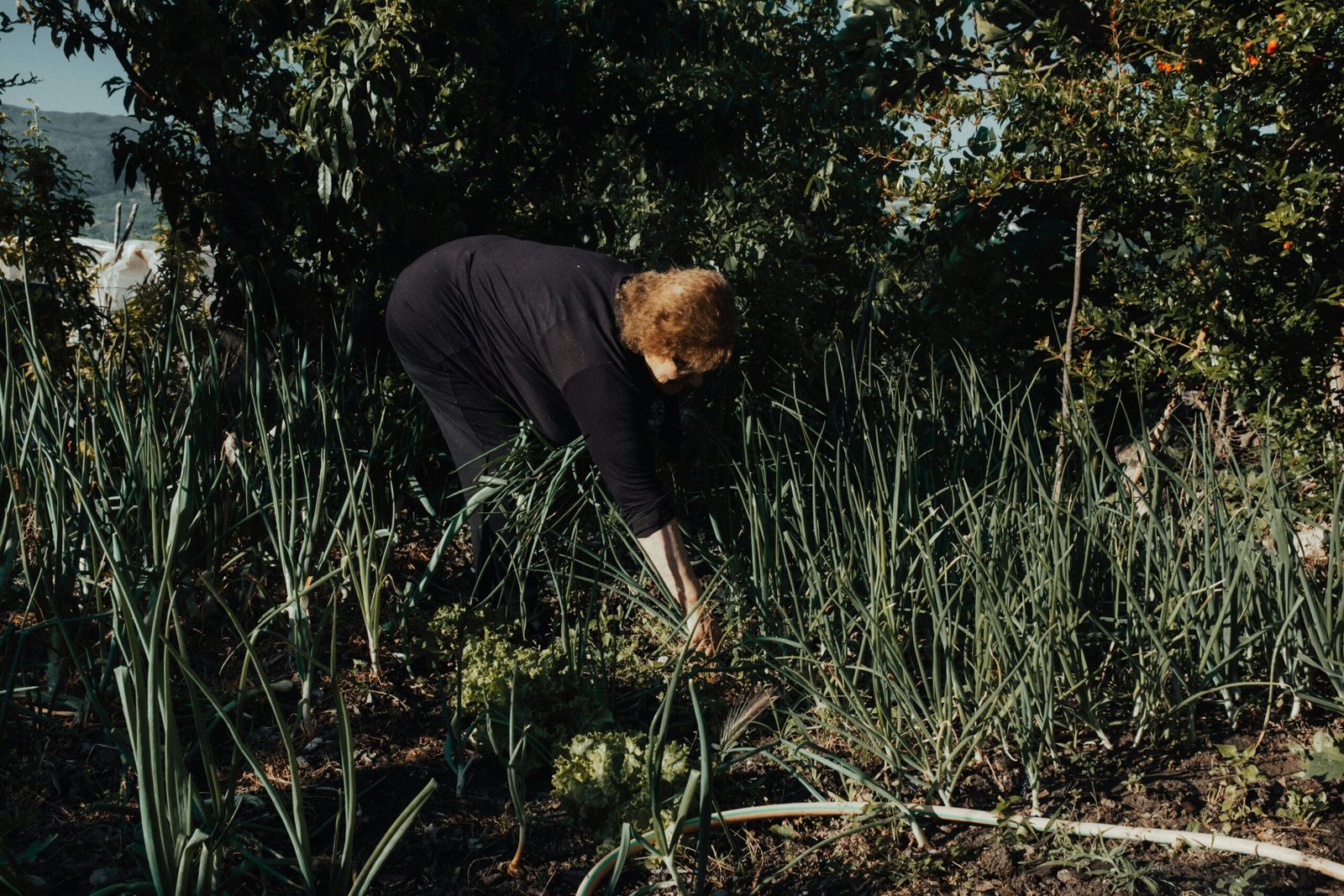 man in black long sleeve shirt and black pants standing on green grass field during daytime