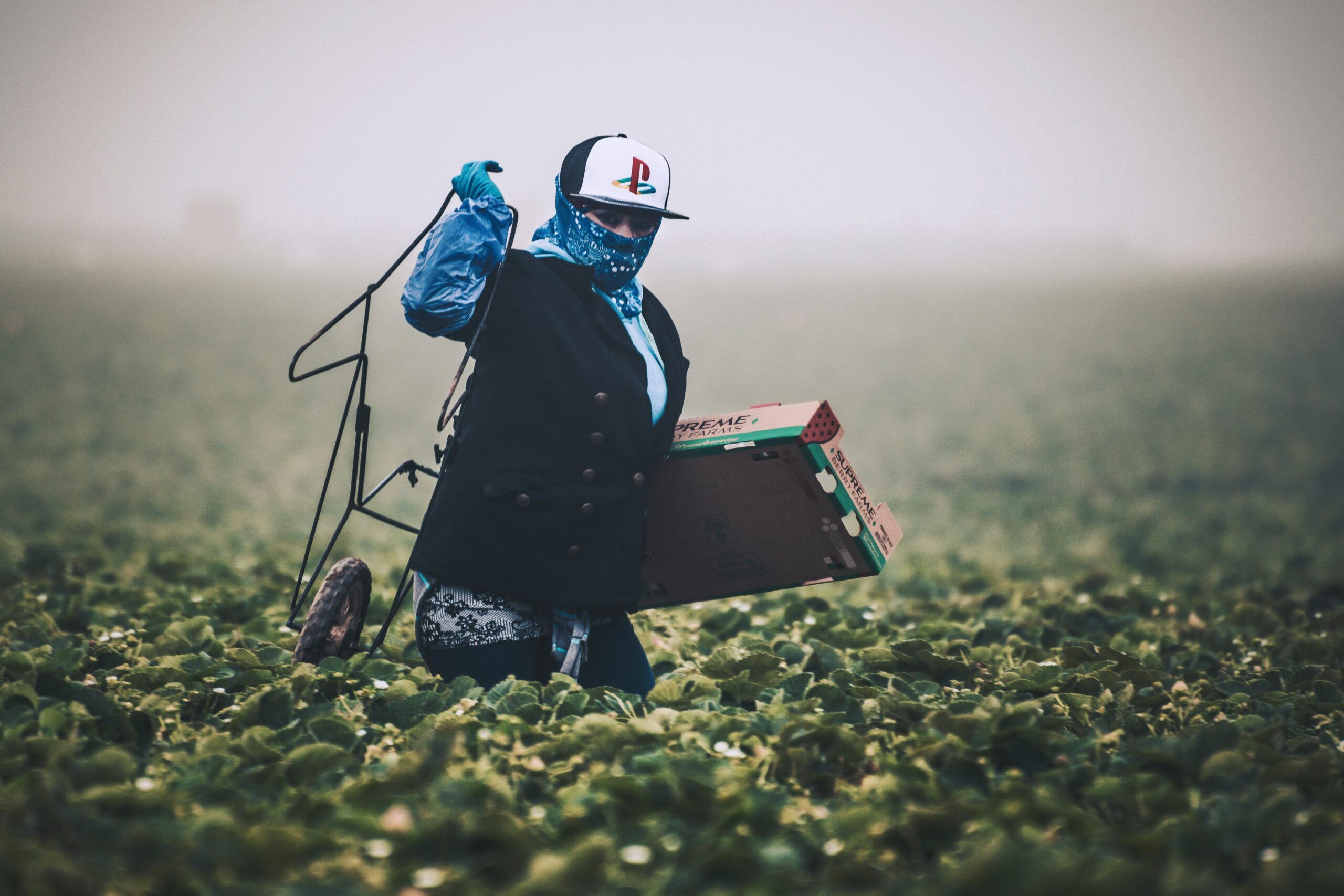 Comisión Nacional de Trabajo Agrario ▷ La Resolución 312/2024 emitida por la Comisión Nacional de Trabajo Agrario (CNTA) representa un hito significativo en la regulación laboral del sector agrario en Buenos Aires.