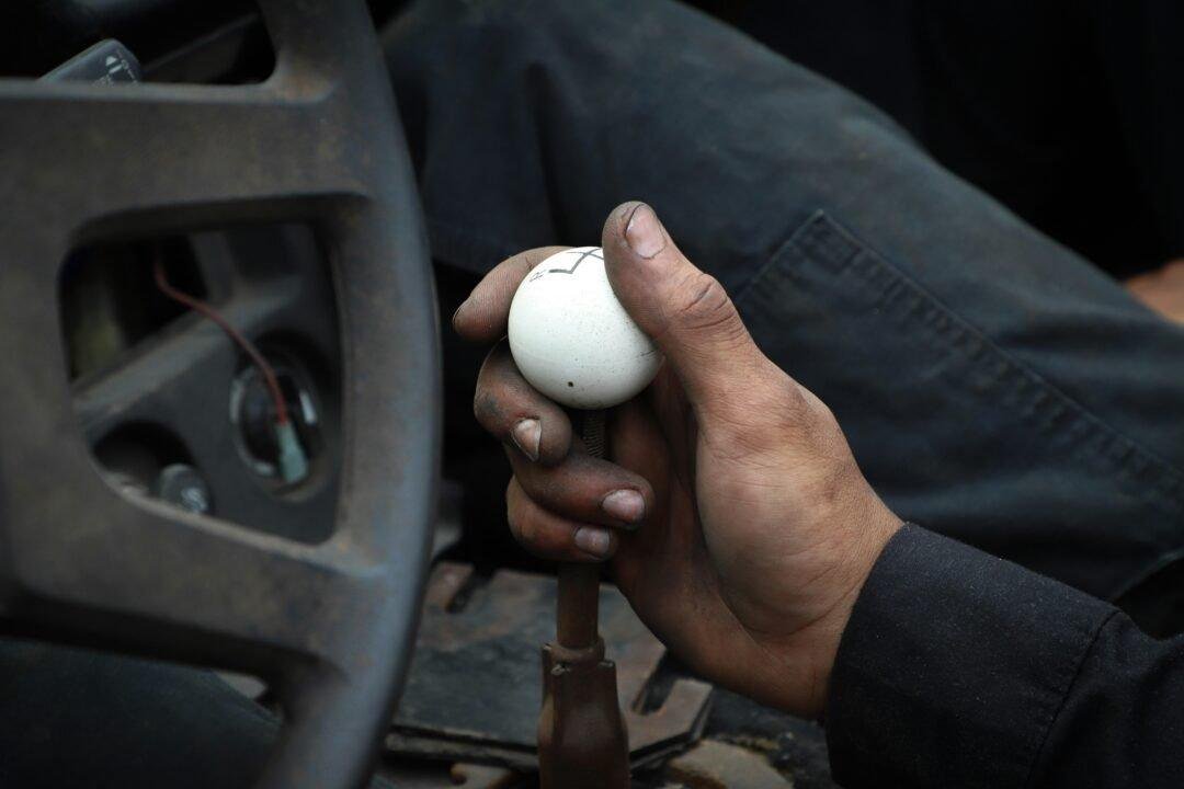 person holding white ball