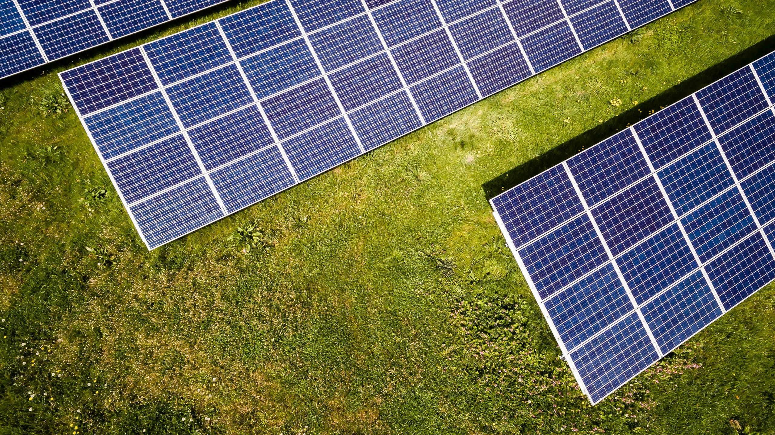 photo of three solar panels