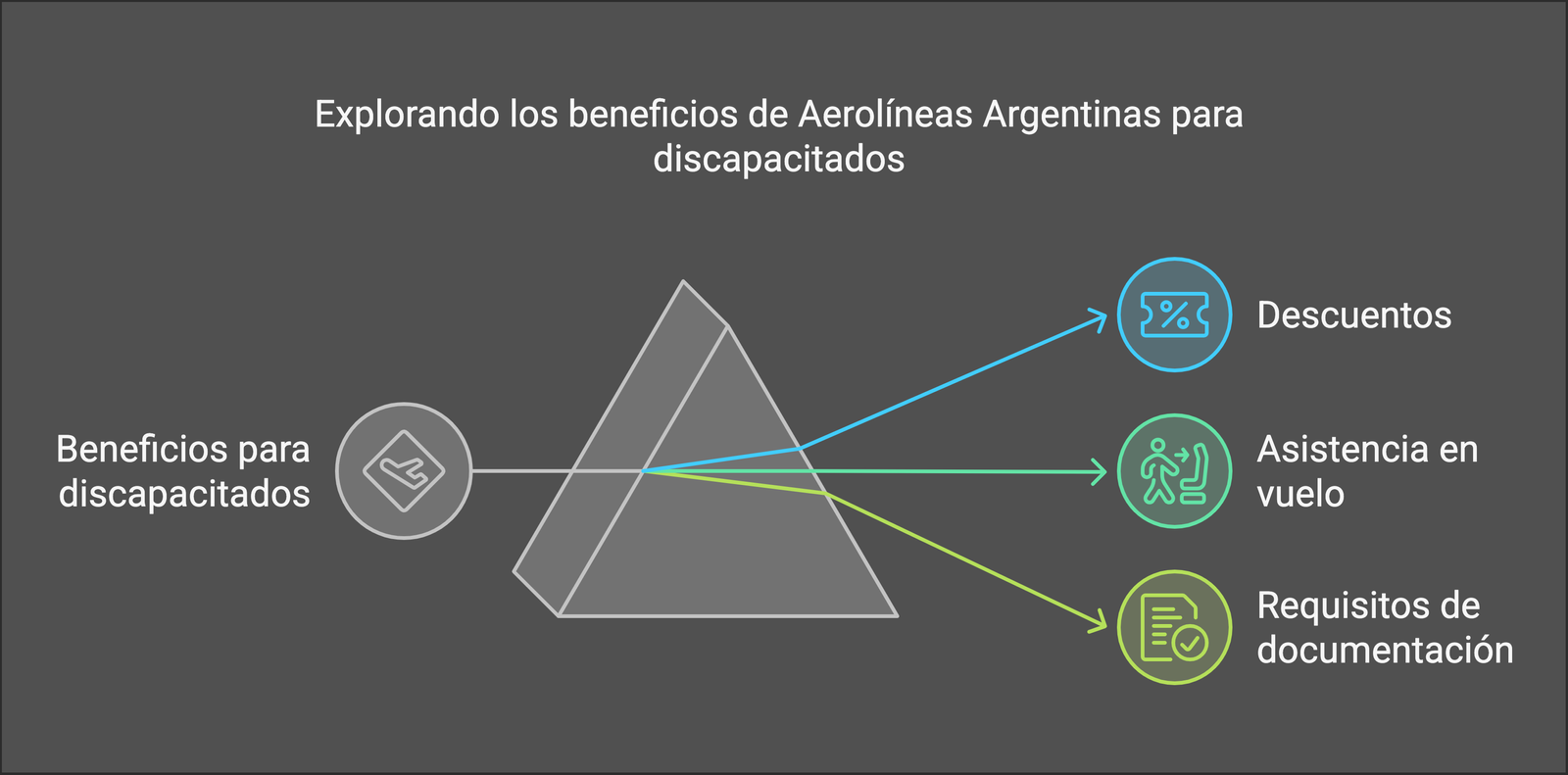 ¿Existen pasajes aereos gratuitos para personas con discapacidad en Argentina visual selection 1