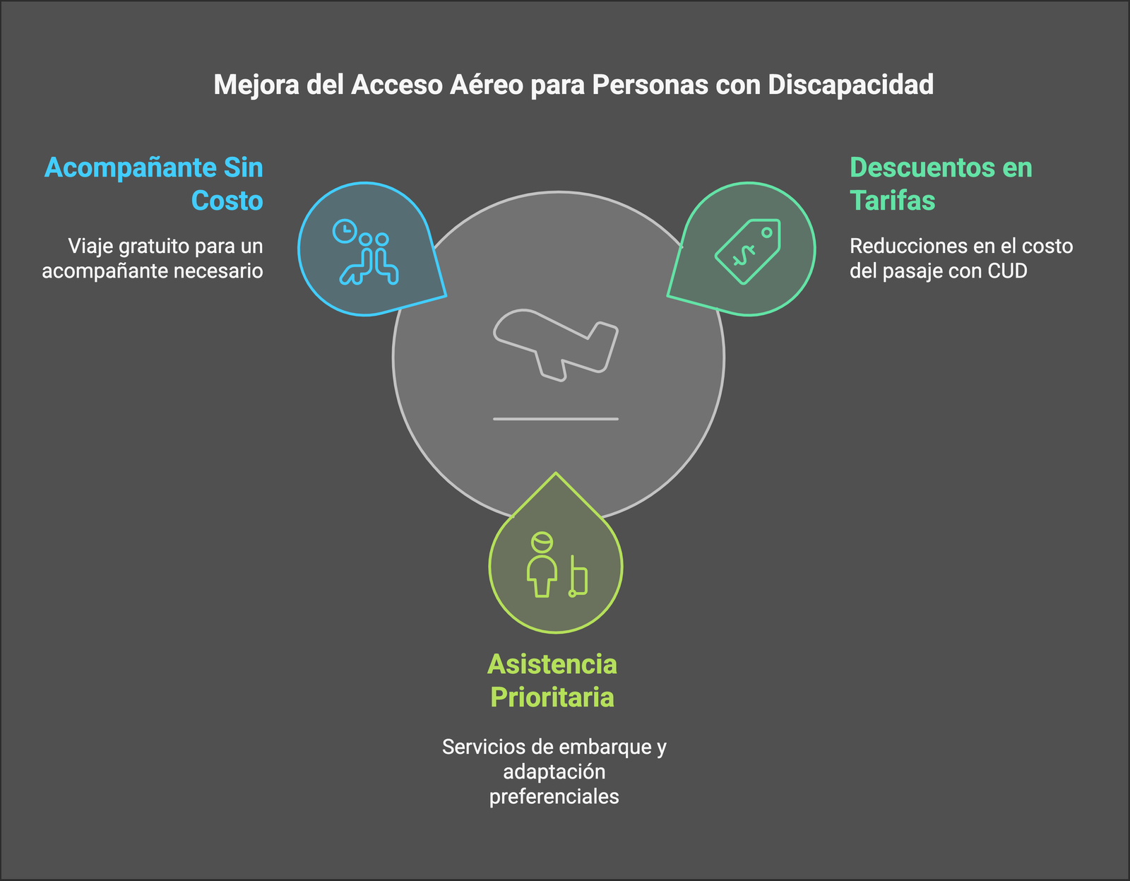 ¿Existen pasajes aereos gratuitos para personas con discapacidad en Argentina visual selection